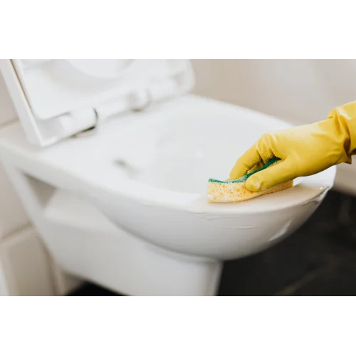 Toilet Cleaner Formulation Consulting Service