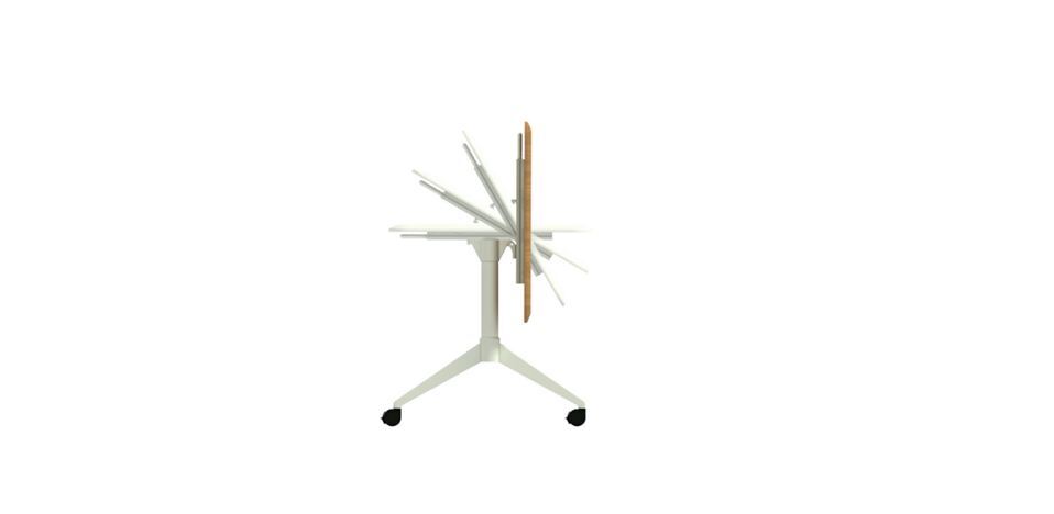 Fold Table