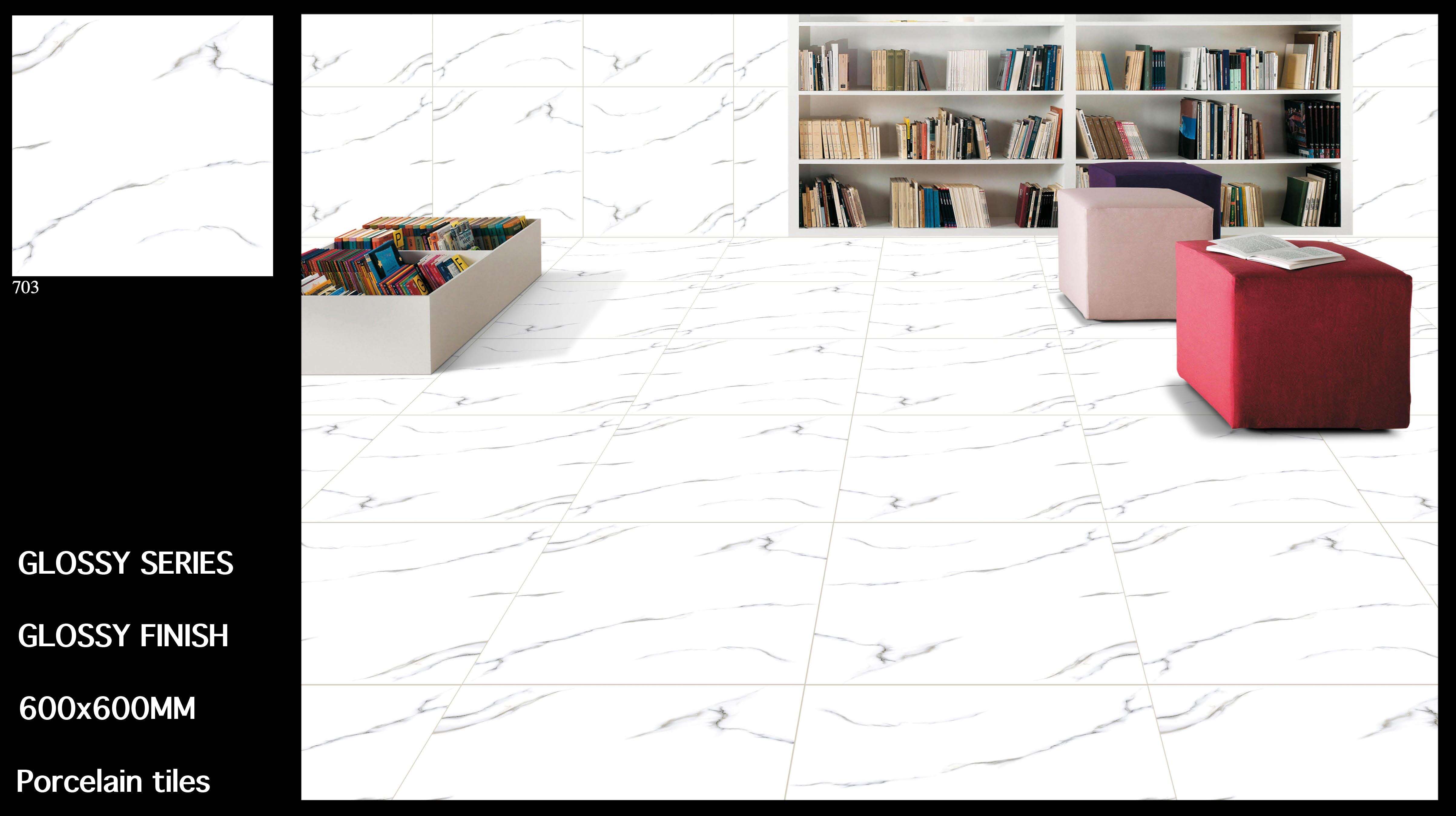 2x2 Glossy Porcelain Tiles