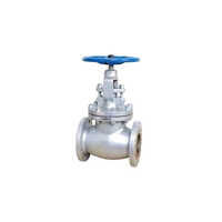 300 Leader C.s Globe Valve Application: Industrial