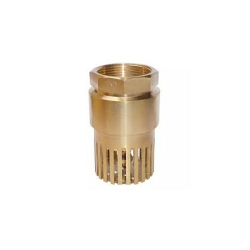 15mm Leader G M Foot Valve Application: Industrial