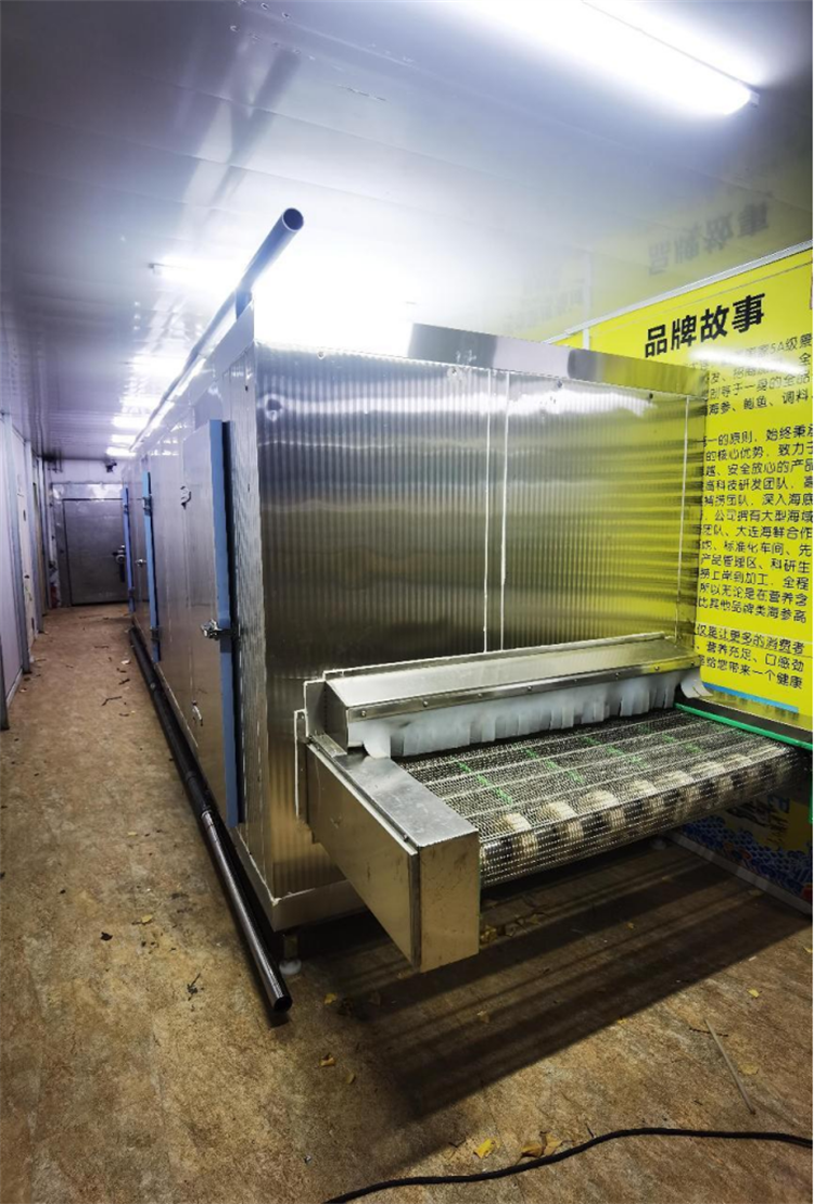 High Efficiency Iqf Quick Freezing Tunnel - Stainless Steel, 14000x3200x2300mm, 500kg/h Capacity | Haccp Compliant, Automatic Operation, Adjustable Air Deflector, Low Noise Fan