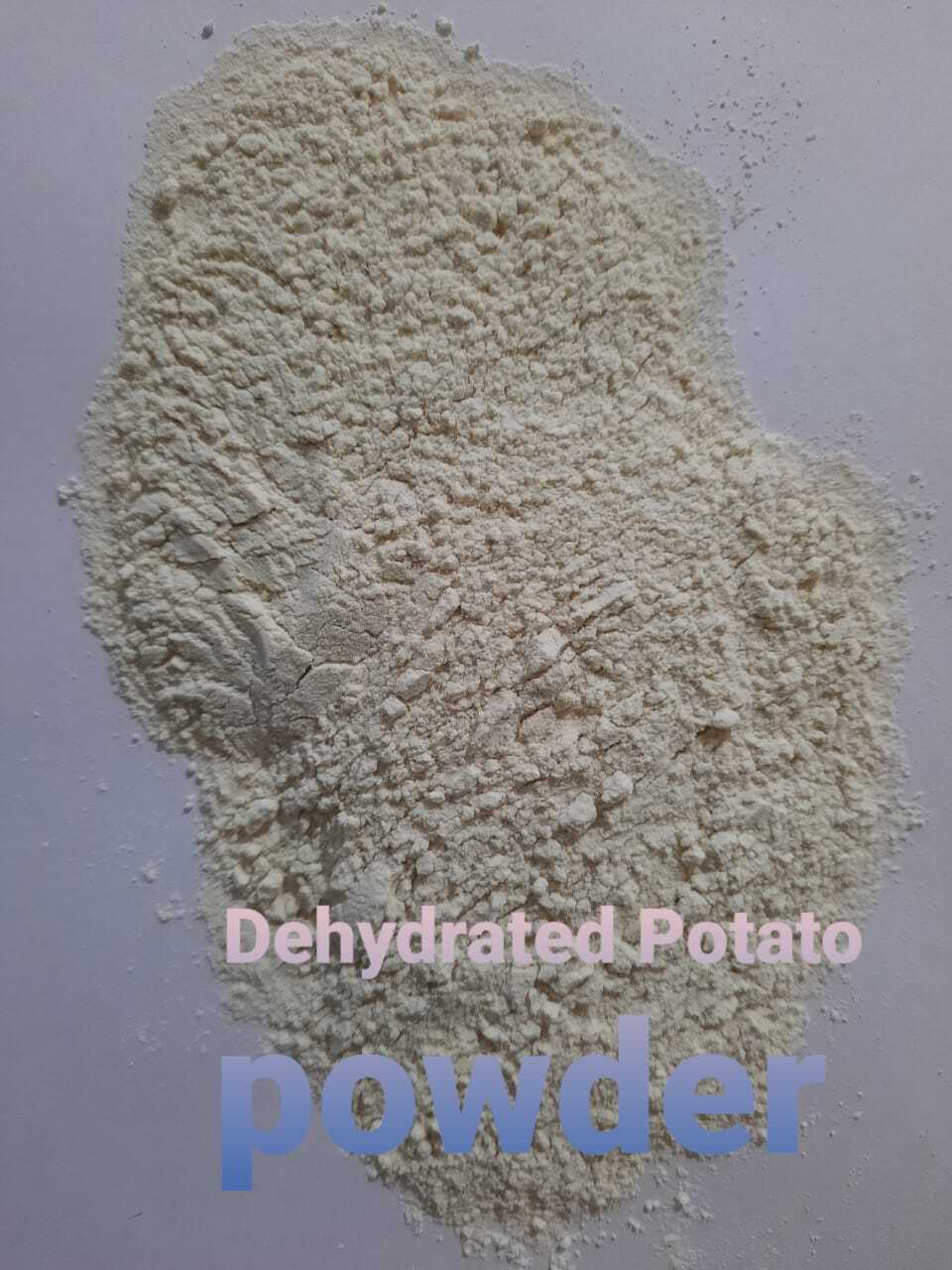 Dehydrated White Onion Powder - 80 To 100 Mesh 100 To 120 Mesh | A-grade Commercial Quality Strong Aroma 25 Kg Poly Bag