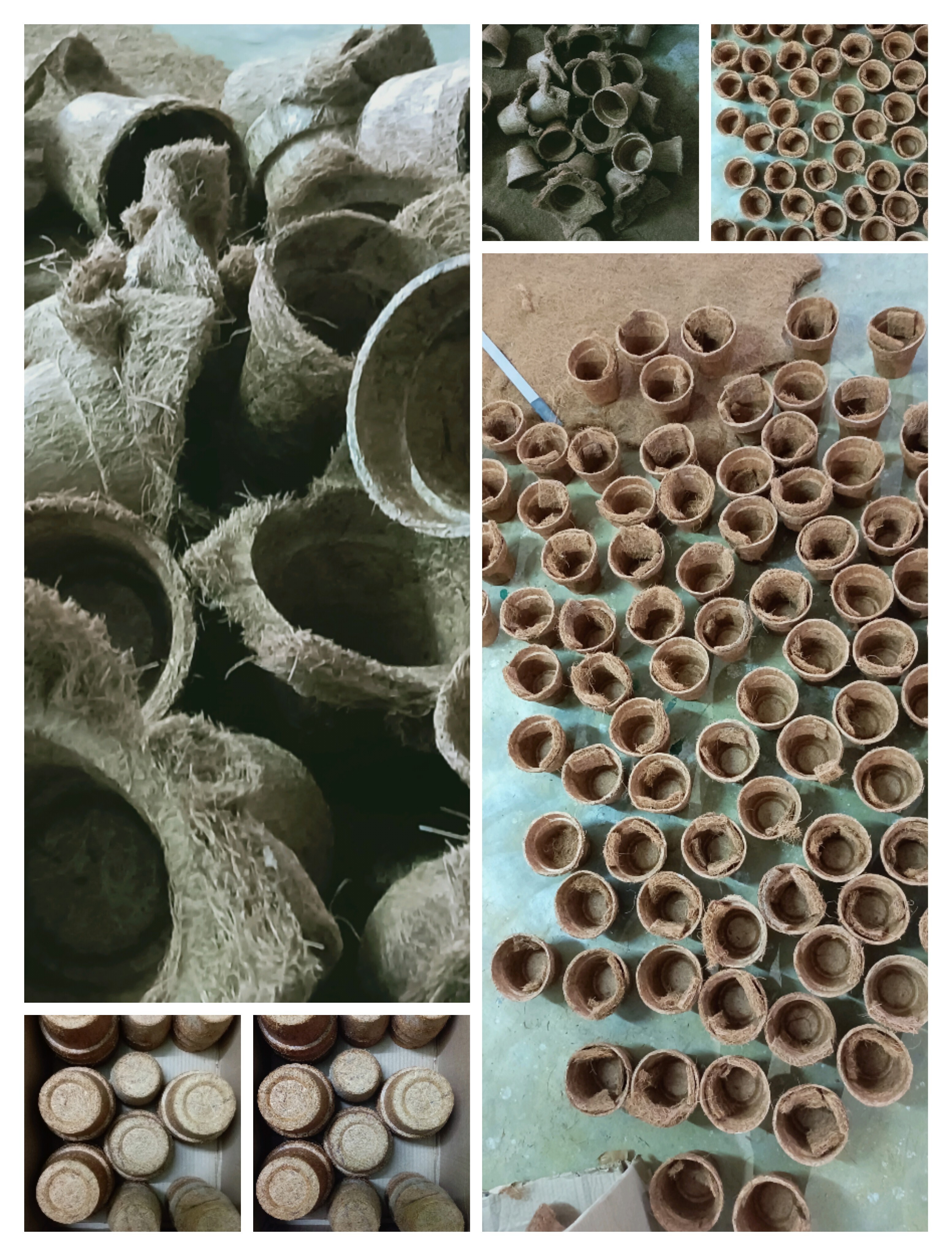 Coir Pot - Eco-friendly Coir Fiber Material, Biodegradable Design For Optimal Plant Growth
