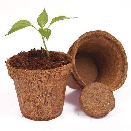 Coir Pot - Eco-friendly Coir Fiber Material, Biodegradable Design For Optimal Plant Growth