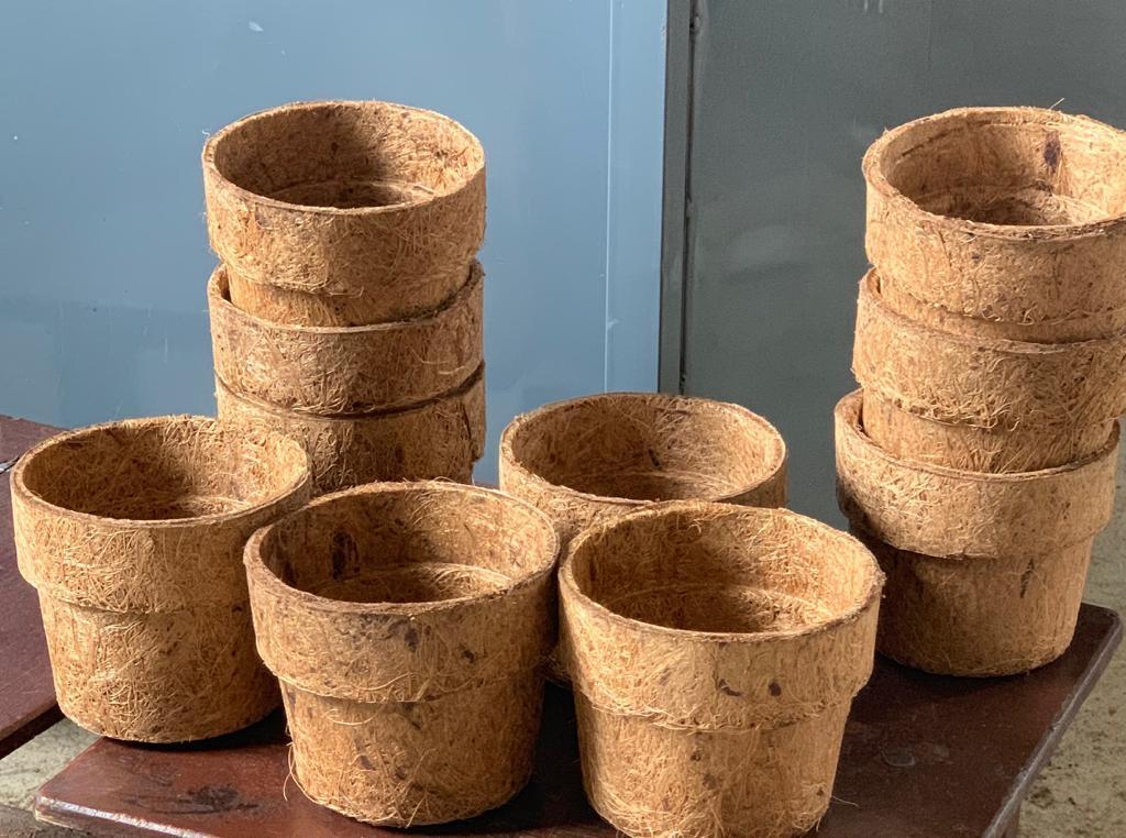Coir Pot - Eco-friendly Coir Fiber Material, Biodegradable Design For Optimal Plant Growth