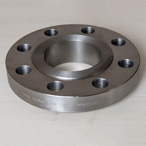 Ibr Ss Slip On Flanges