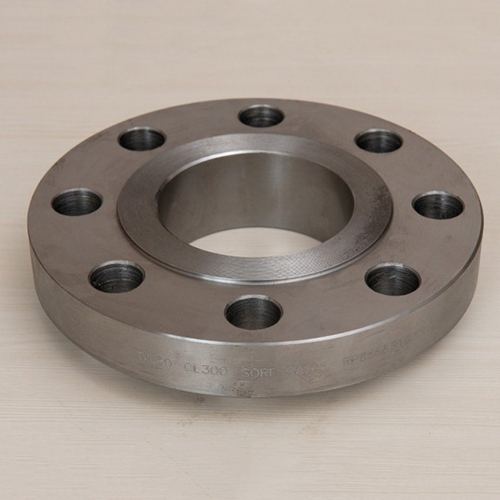 Ibr Ss Slip On Flanges