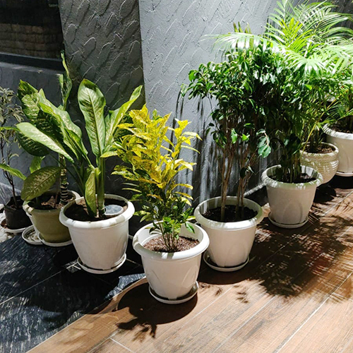 Different Available Plastic Flower Pots