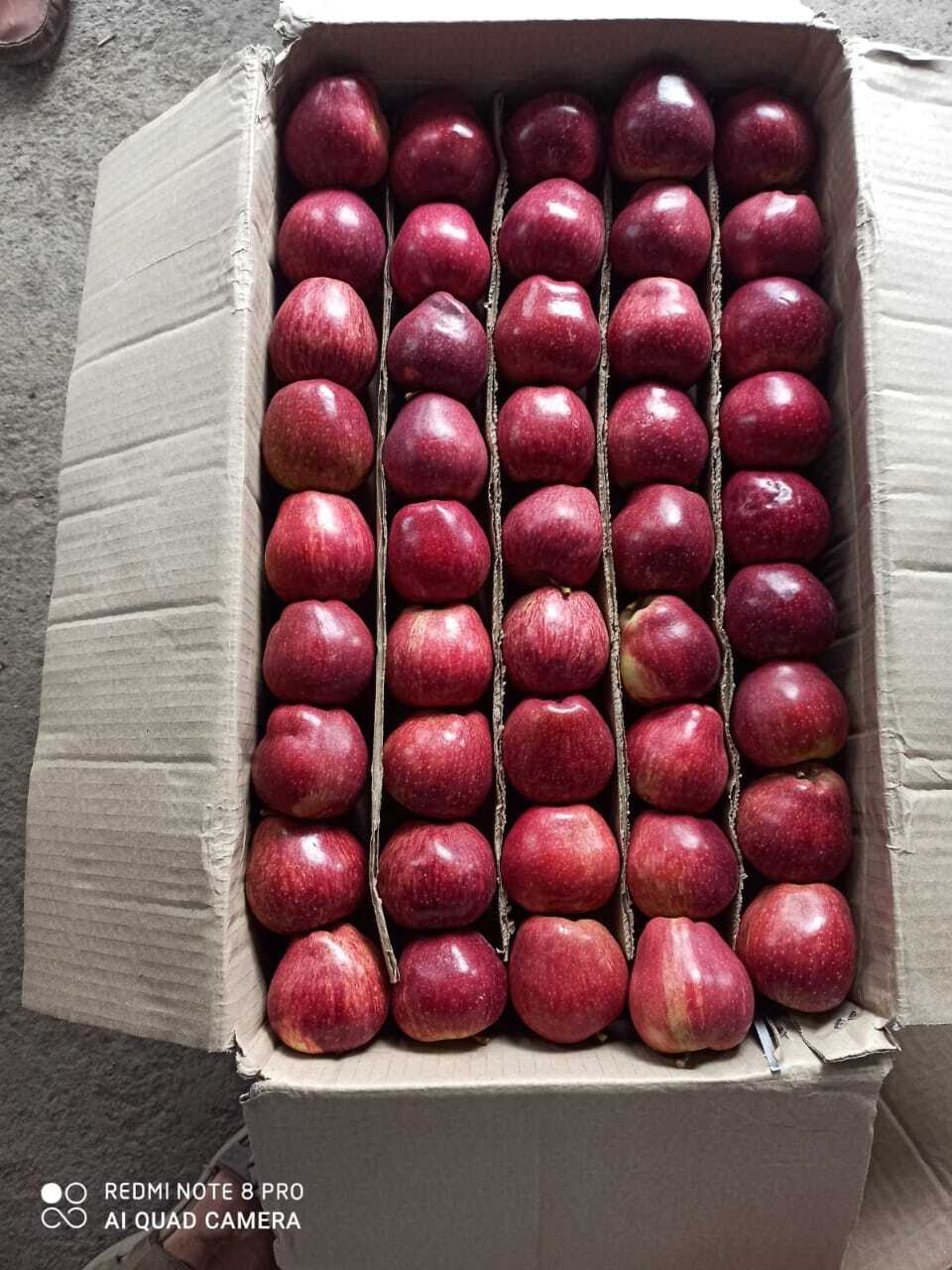 Fresh Apple - American Type, Round Shape, Red Color | Sweet Taste, Common Cultivation