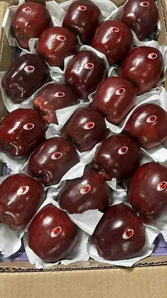 Fresh Apple - American Type, Round Shape, Red Color | Sweet Taste, Common Cultivation