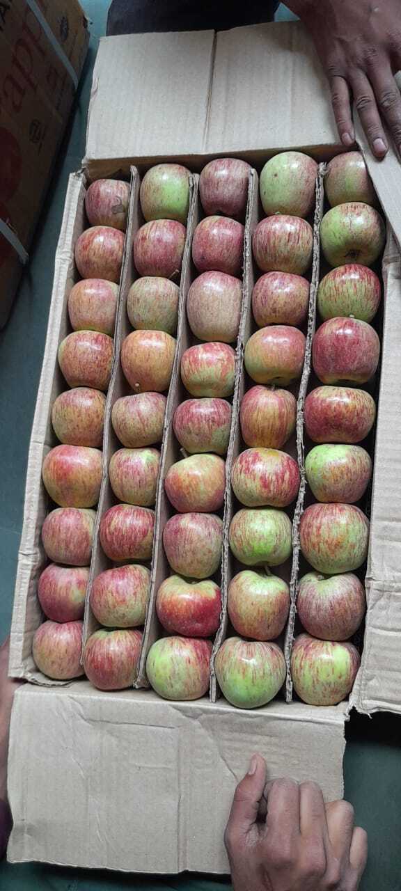 Fresh Apple-b Grade - Onions, Garlic & Potatoes | Wide Variety Including Jyoti, Chipsona, Surya, Khyati, Direct Farmer Connections
