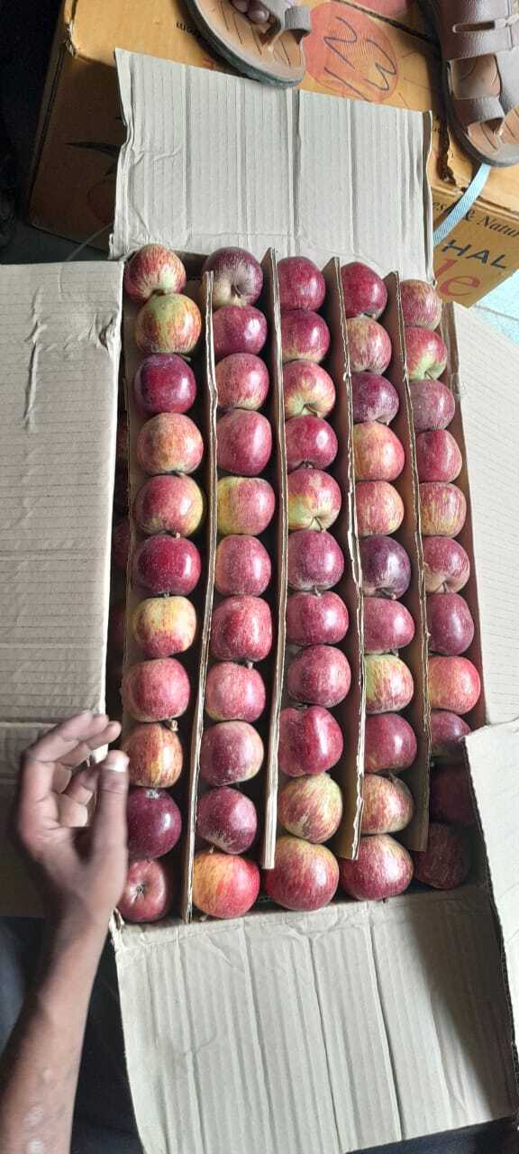 Apple B-garde - Fresh Onions, Garlic & Potatoes | Variety Includes Jyoti, Chipsona, Surya, Khyati, Connects Farmers To Market