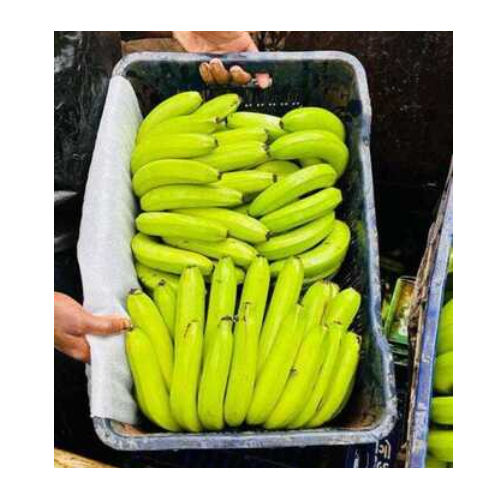 Fresh Banana