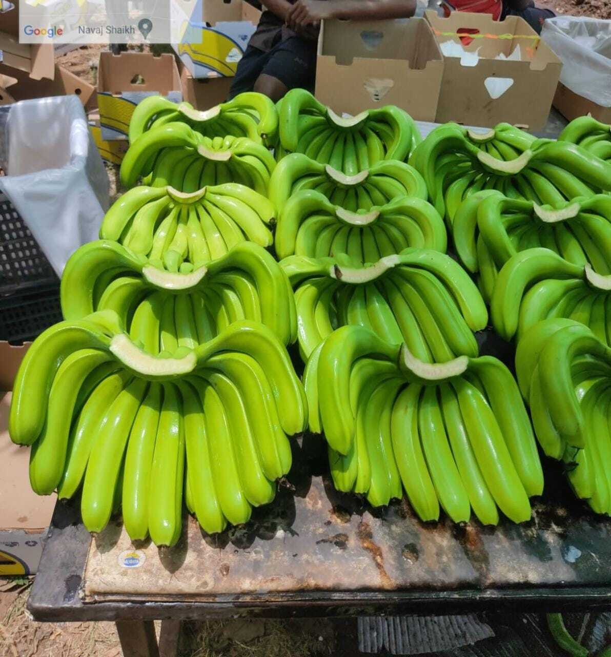 Fresh Banana By 9 Step And Company