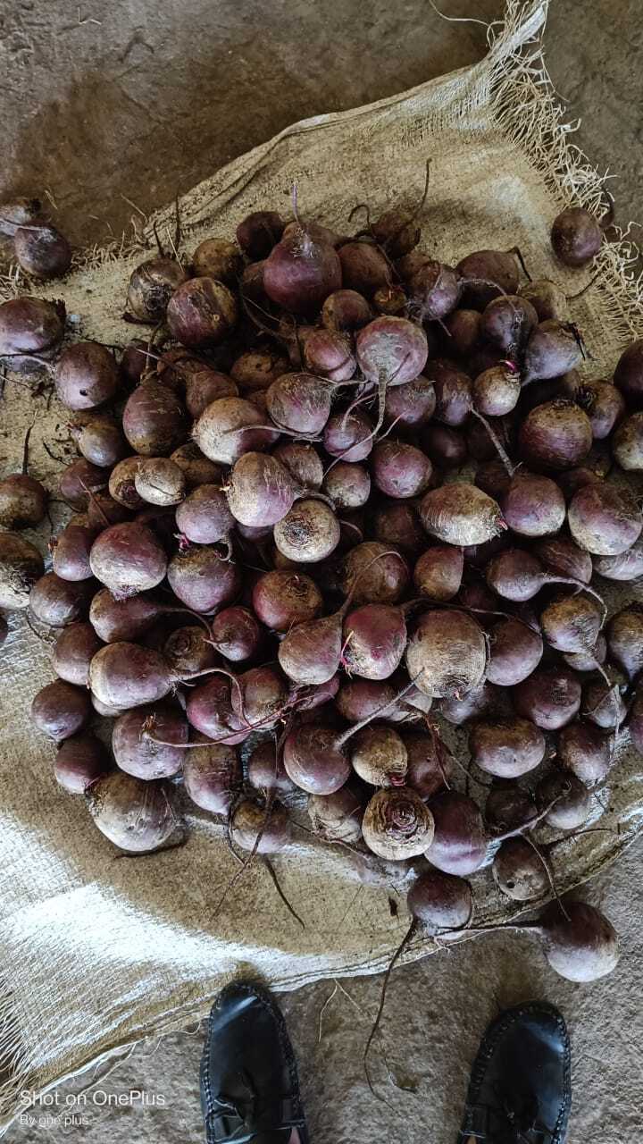 Fresh Beetroot By 9 Step And Company