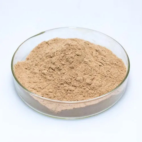 Fever Few Extract - Solvent Extraction, Dried Organic Powder | Brown, High Purity, Up to 24 Months Shelf Life, Available in 1-25 KG Packaging