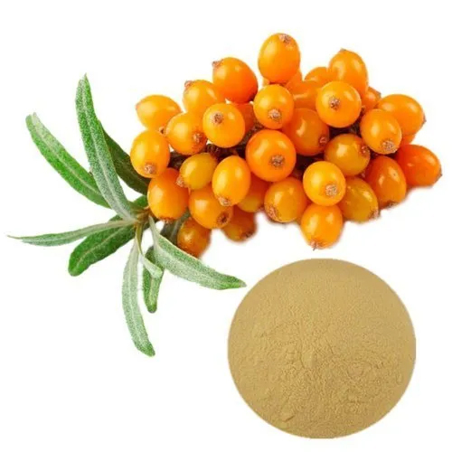 Brown Seabuckthorn Pulp Extract