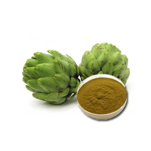 Brown Artichoke Extract Powder