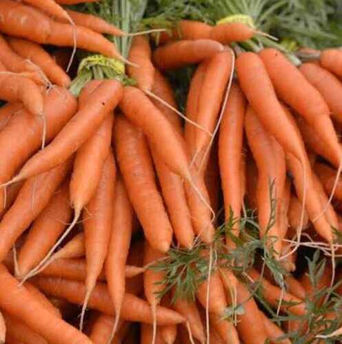 Fresh Carrot By 9 Step And Company