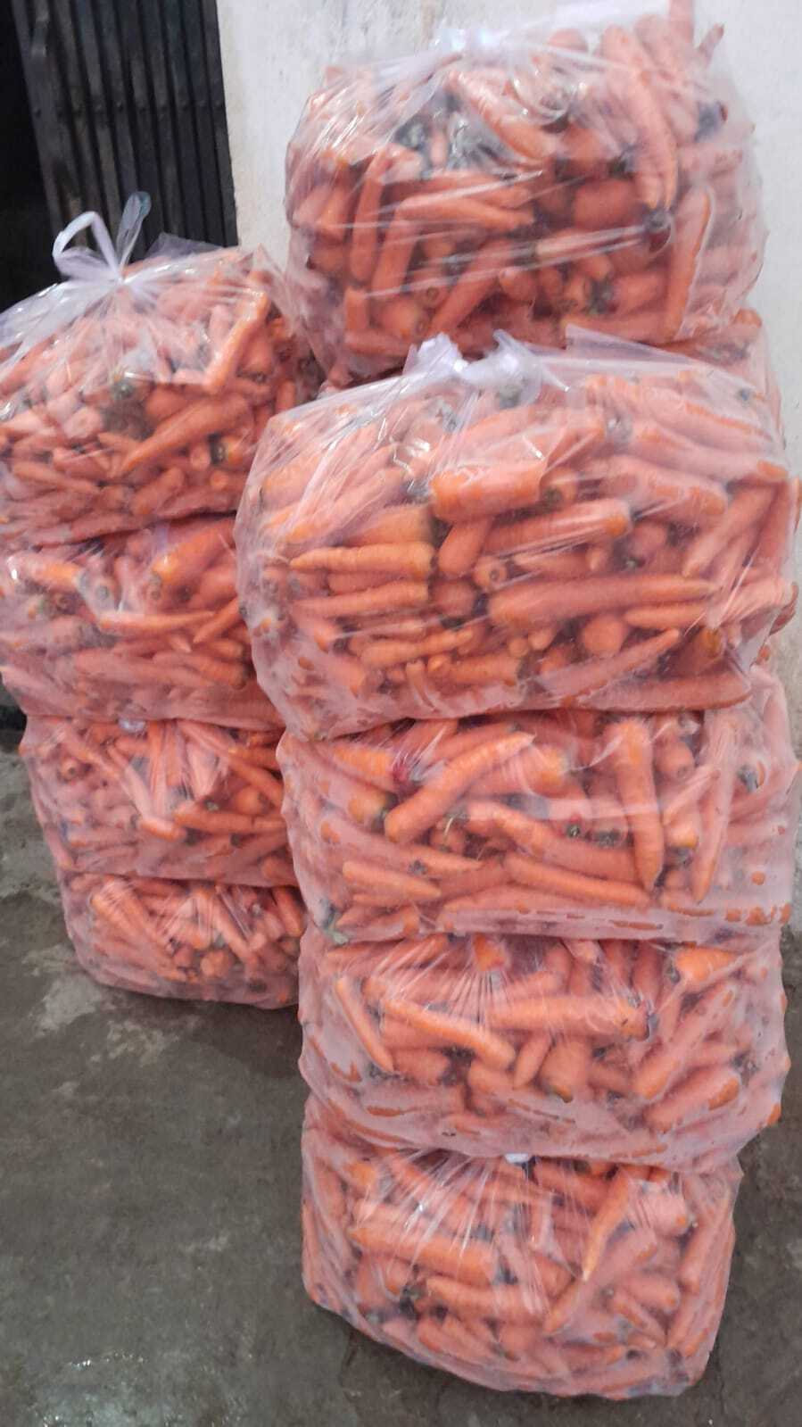 Fresh Carrot By 9 Step And Company