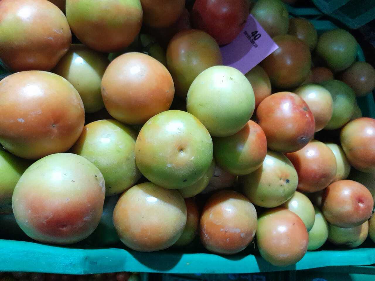 Fresh Tomato