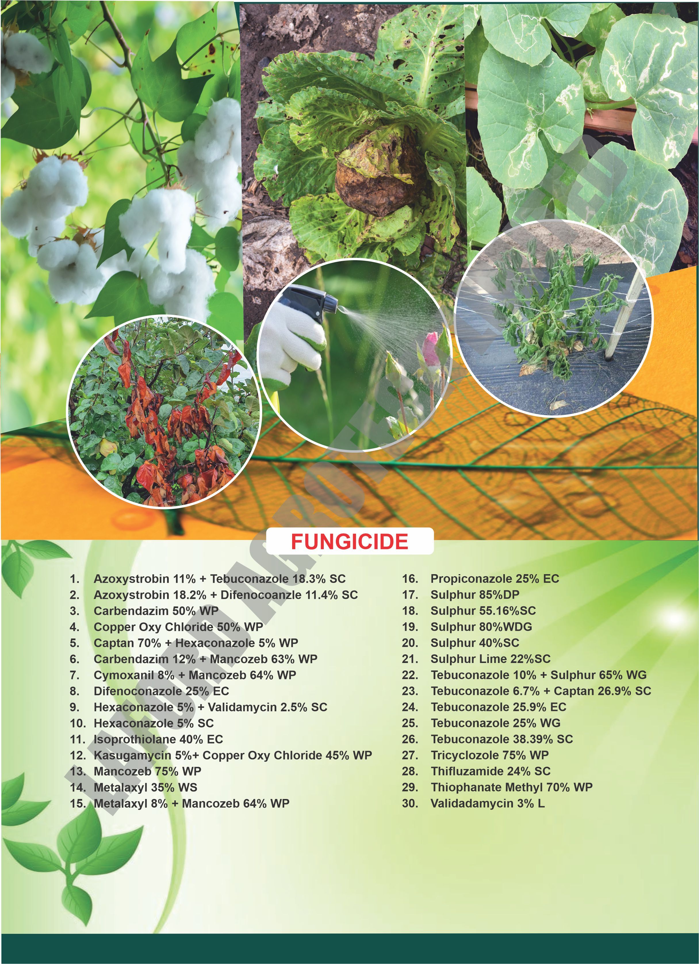 Thiophanate Methyl - 70% Wp | Quick Absorption Fungicide For Anthracnose, Apple Scab, Powdery Mildew, Leaf Spot Diseases