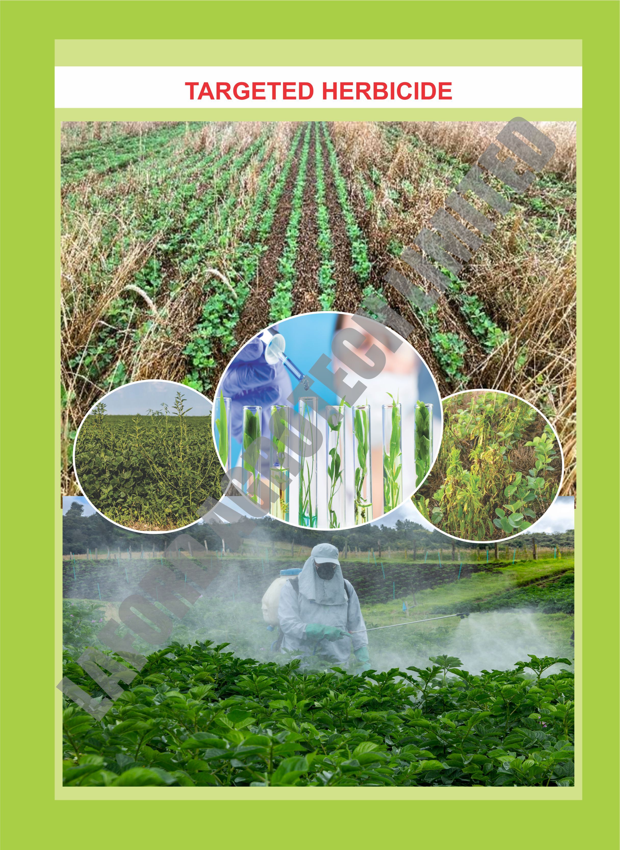 Paraquat Dichloride 24% Sl - Herbicide Liquid, Blue/clear | Non-selective Contact, Spray Application, Controlled Release For Weed Control