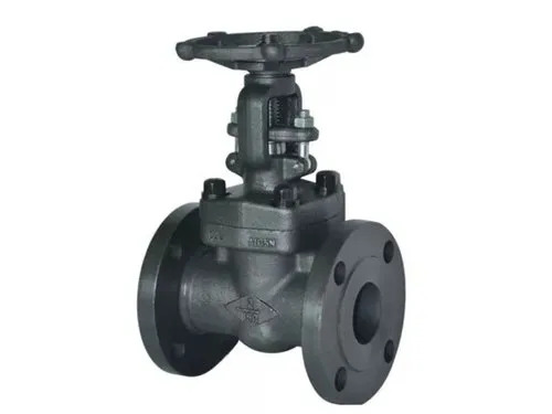 Forged Steel Gate Valve - Color: Black
