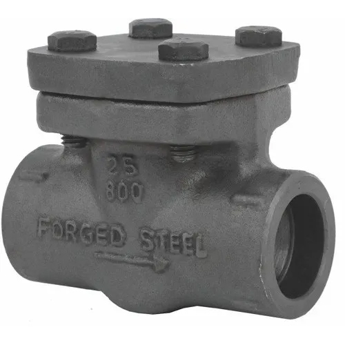 Forged Steel Check Valve - Color: Black