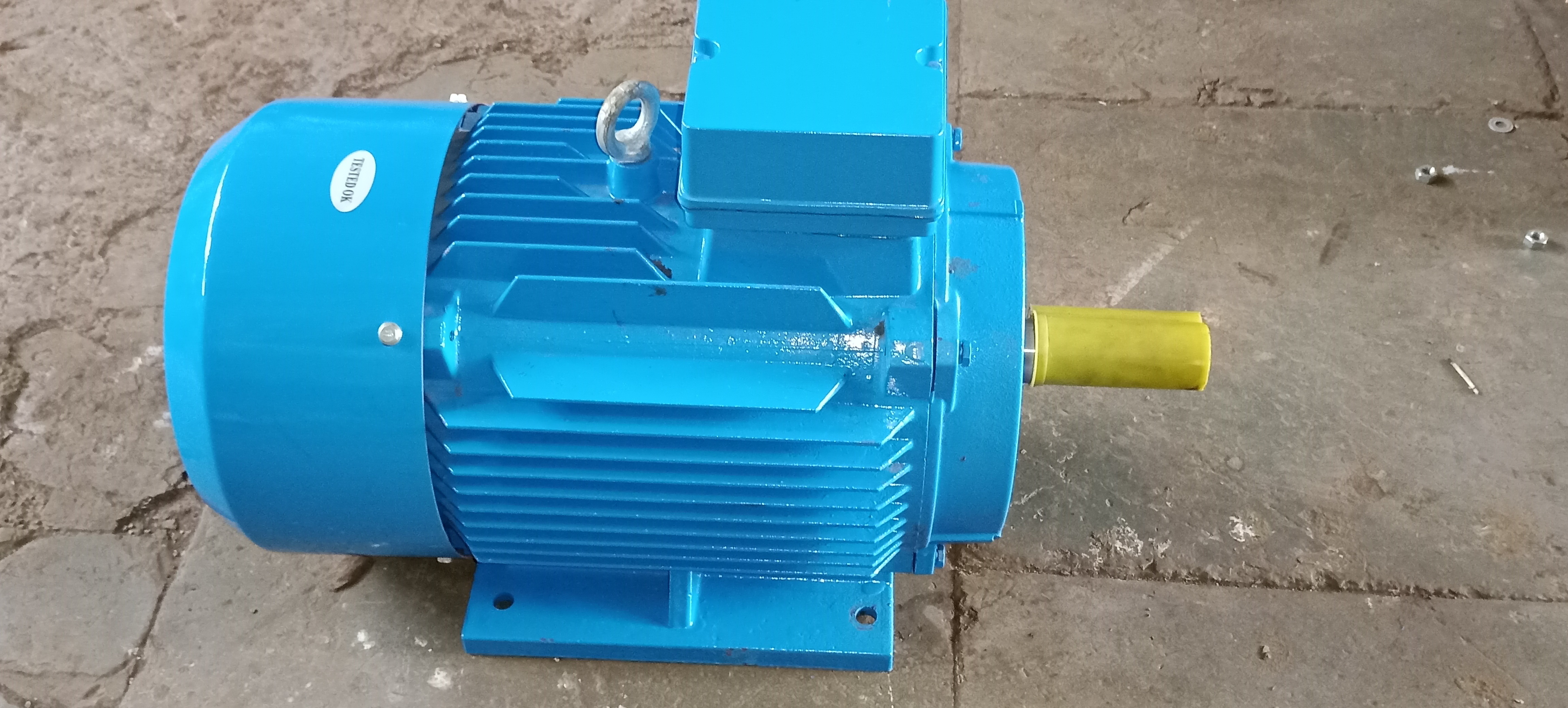Induction Motors - Dimension (L*w*h): 300 A  200 A  200 Millimeter (Mm)