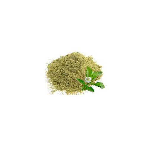 Bhringraj Dry Extract - Shelf Life: 3 Years