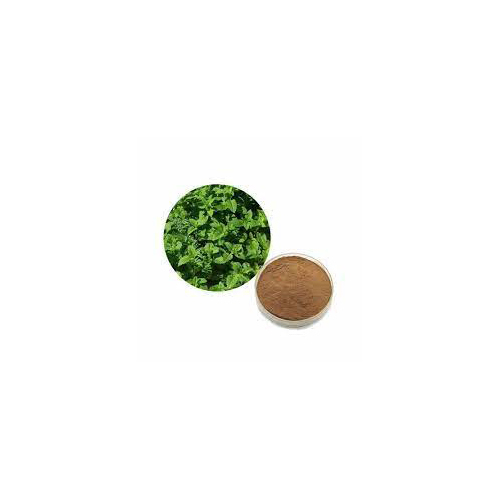 Lemon Balm Dry Extract - Color: Greenish-Brown