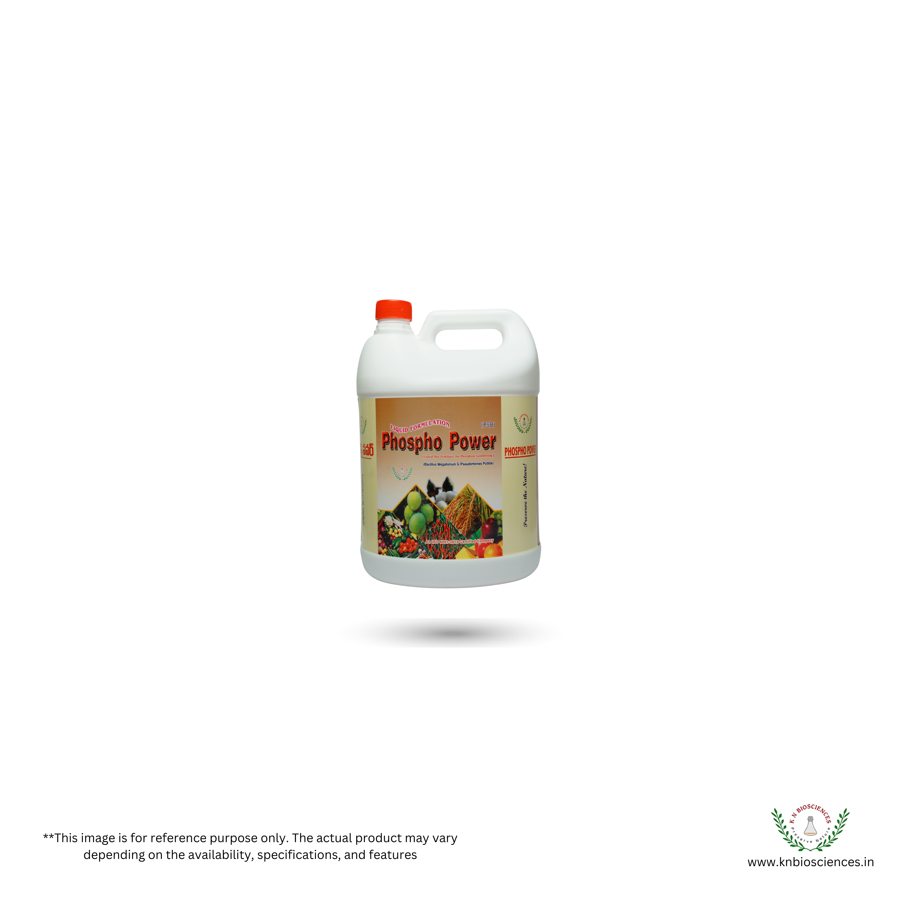 Phosphate Solubilizing Bacteria - Powder Formulation, Controlled Release | Enhances Plant Immunity And Mineral Uptake, Produces Growth Promoting Substances