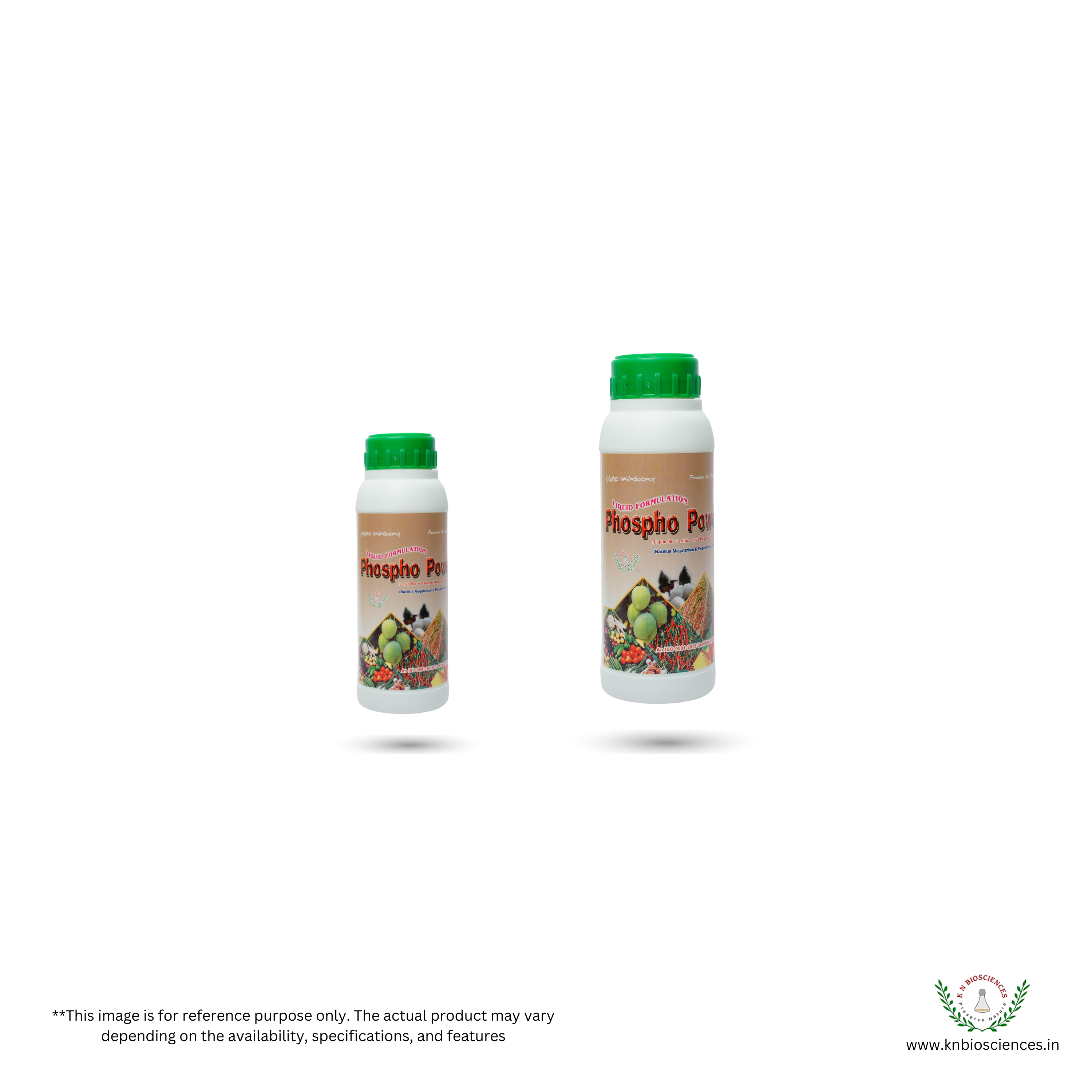 Phosphate Solubilizing Bacteria - Powder Formulation, Controlled Release | Enhances Plant Immunity And Mineral Uptake, Produces Growth Promoting Substances