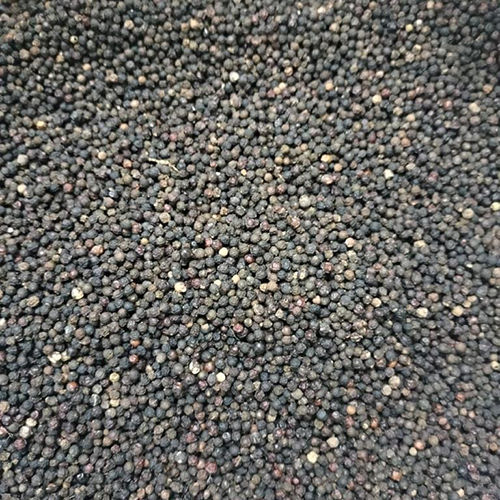 Black Pepper Grade: First Class