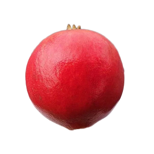 Red Pomegranate Plant - Evergreen Shrub, Up To 6 Feet Tall, Deep Glossy Green Foliage, Vibrant Red Fruits, Customizable Sizes And Colors