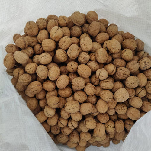 Common 30-40 Walnut Kernels