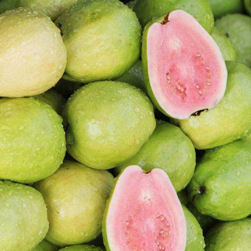 Fresh Guava - Whole Organic Fruit , Naturally Shaped Sweet Variety From India