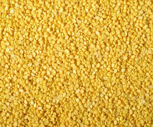 पीले मूंग दाल - सिमरन एक्सपोर्ट्स