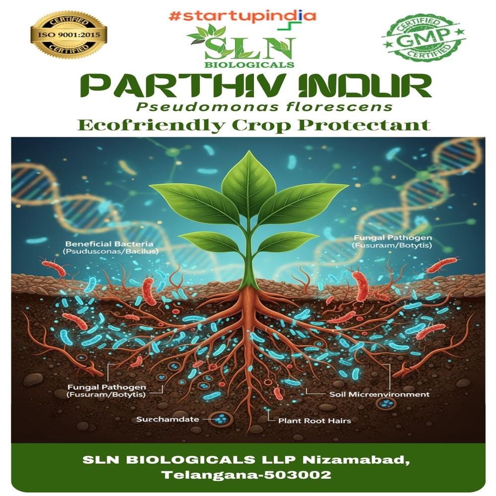 Pseudomonas Florescens - Application: Industrial