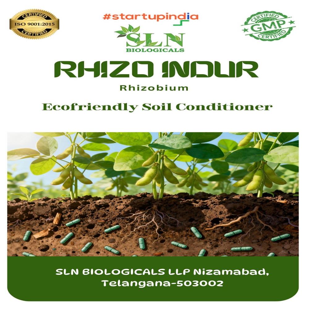 Rhizobium Bacteria - Application: Agriculture