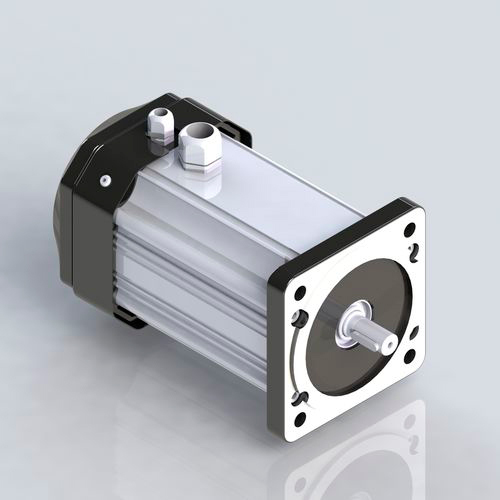 Black-White Dc Motor