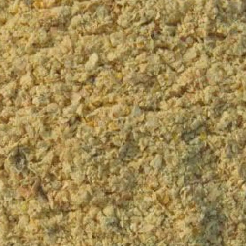 मक्के के पशुओं के चारे की प्रभावकारिता: स्वस्थ को बढ़ावा दें