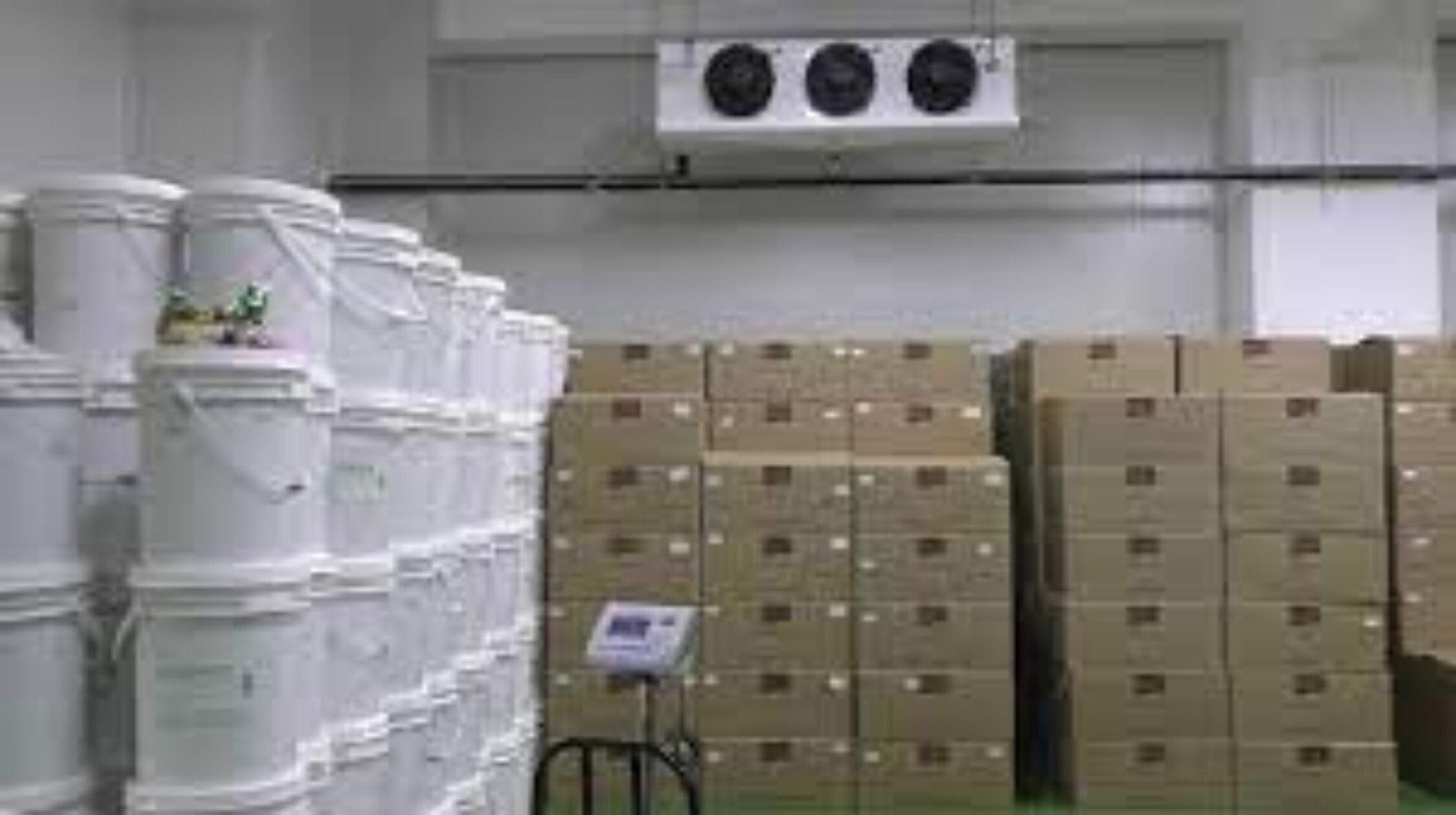 Chocolate Cold Room - Capacity: As Per Order