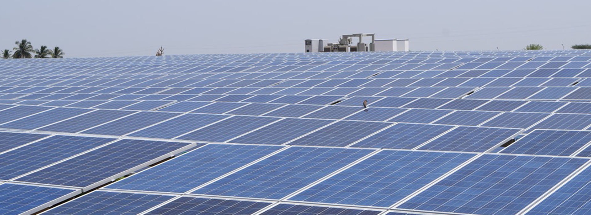 Cost Effective Solar / Opex Solution In Jaipur