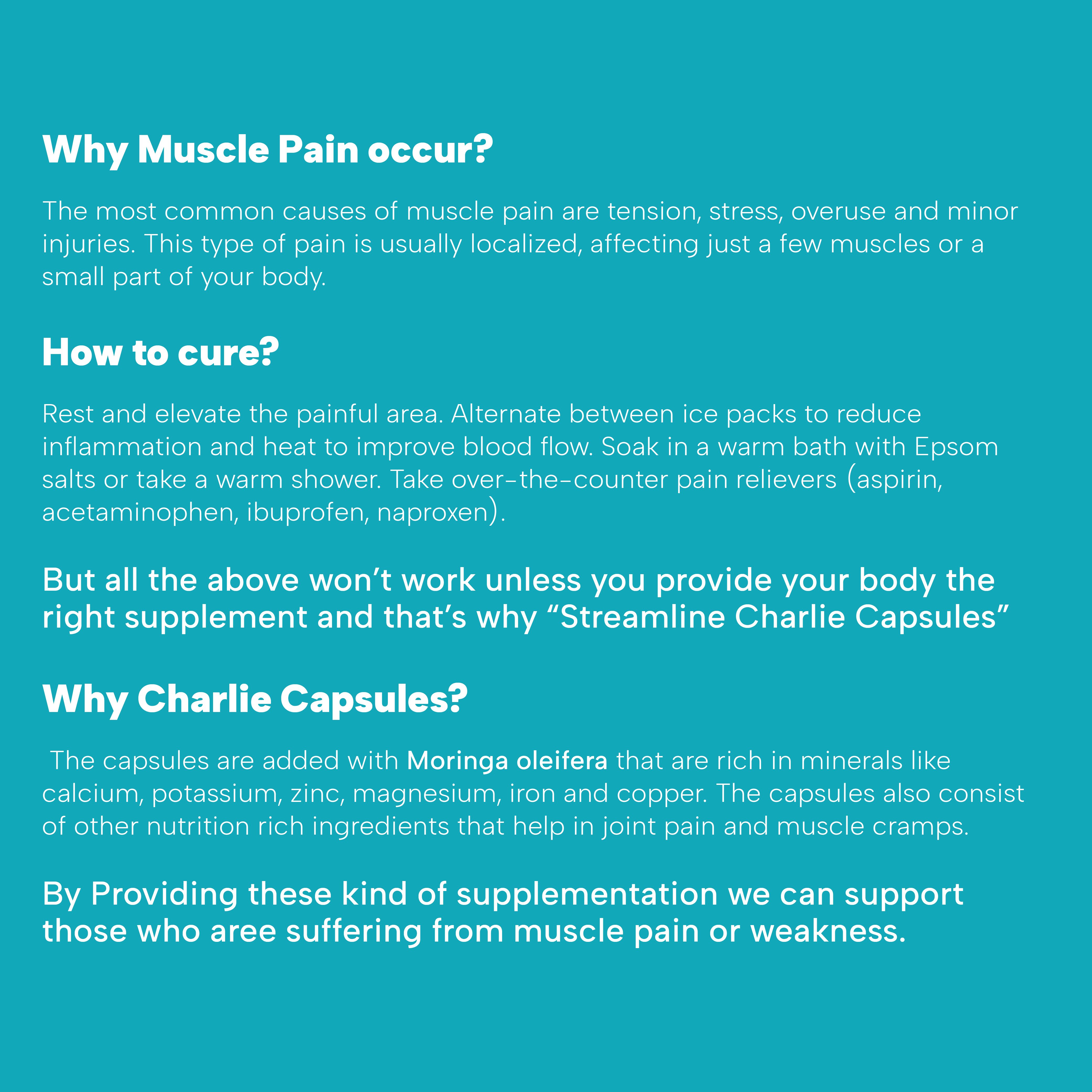 Ayurvedic Charlie Capsule - Herbal Formula For Muscle And Joint Pain Relief | Supports Recovery, Reduces Inflammation, Easy To Use