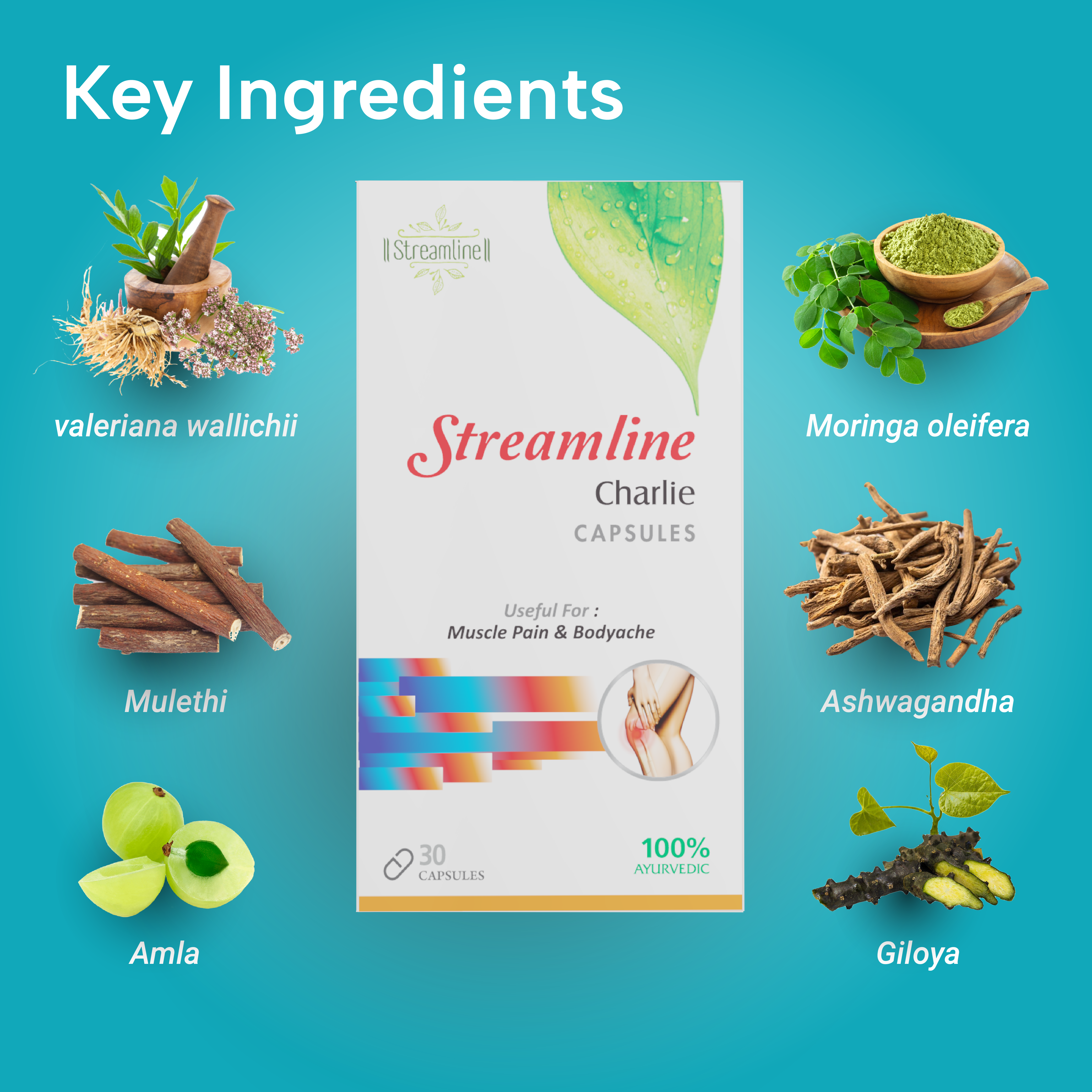 Ayurvedic Charlie Capsule - Herbal Formula For Muscle And Joint Pain Relief | Supports Recovery, Reduces Inflammation, Easy To Use