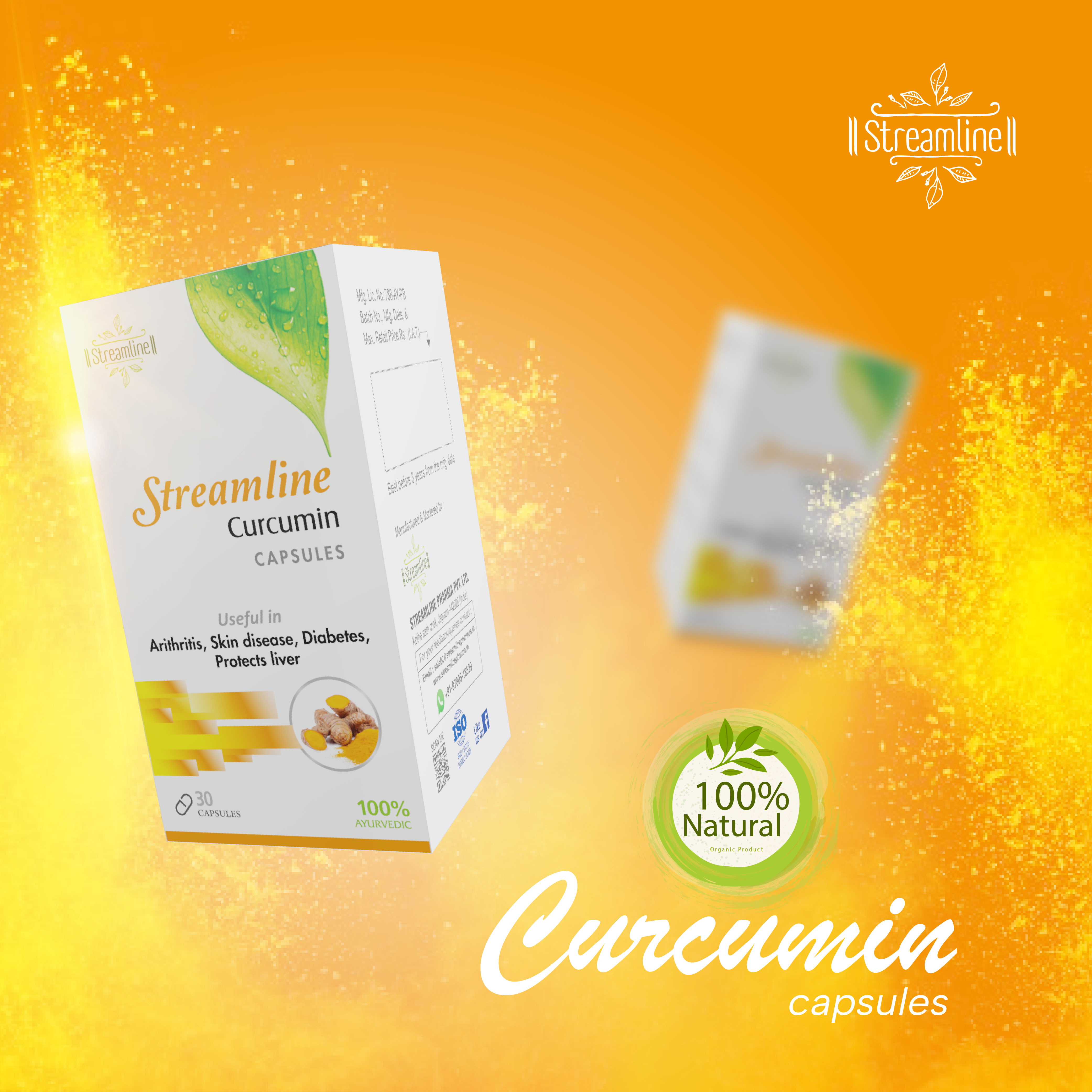 Curcumin Capsules - Herbal Capsules, Anti-aging & Antioxidant Support | Powerful Antioxidant, Anti-inflammatory, Liver Protection, Sports Nutrition, Skin & Diabetes Support