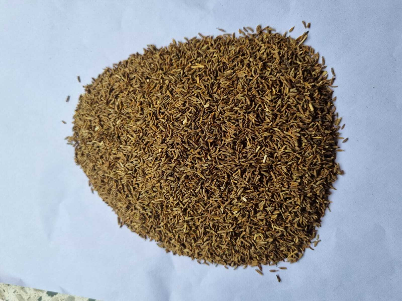 Cumin Seeds (Crushing Quality) - Color: Brown